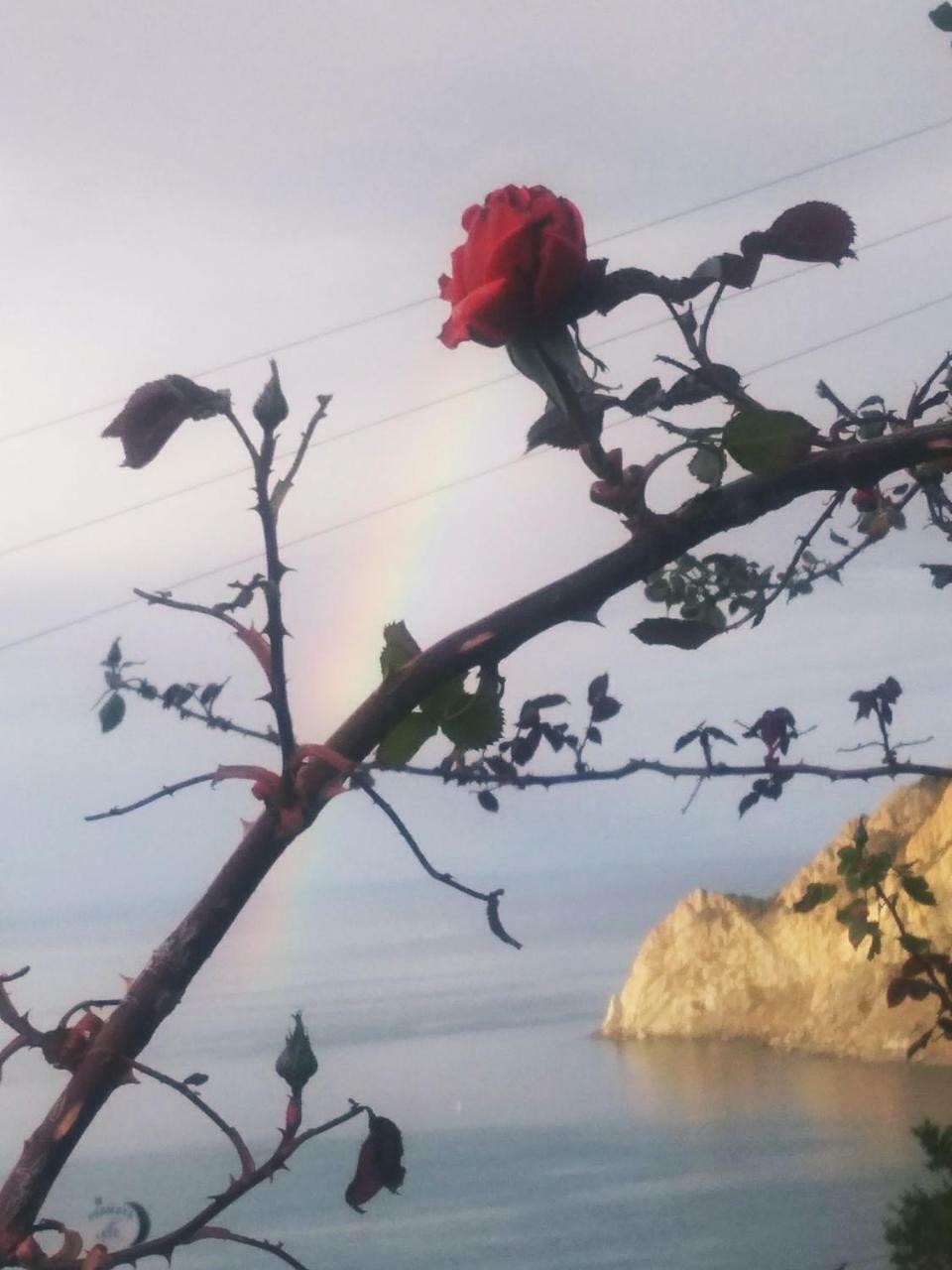 La Serra Sul Mare Monterosso al Mare Exterior photo
